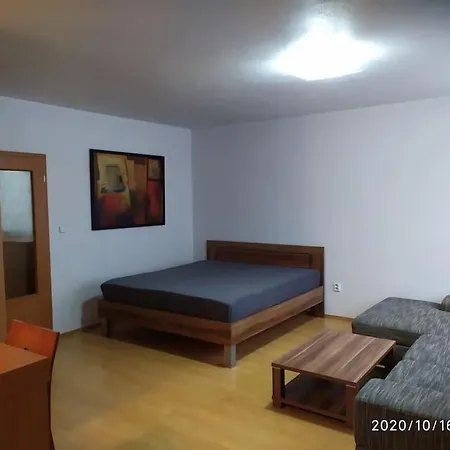 William's Spacious Studio In *