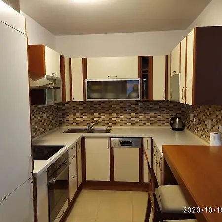 William's Spacious Studio In * Μπρατισλάβα