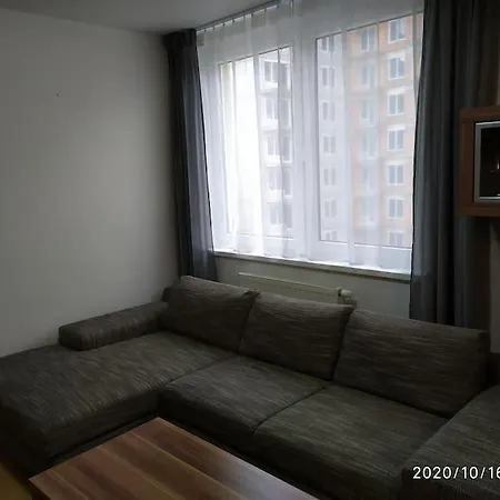 William's Spacious Studio In Bratislava