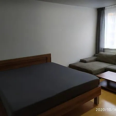 William's Spacious Studio In Διαμέρισμα Μπρατισλάβα